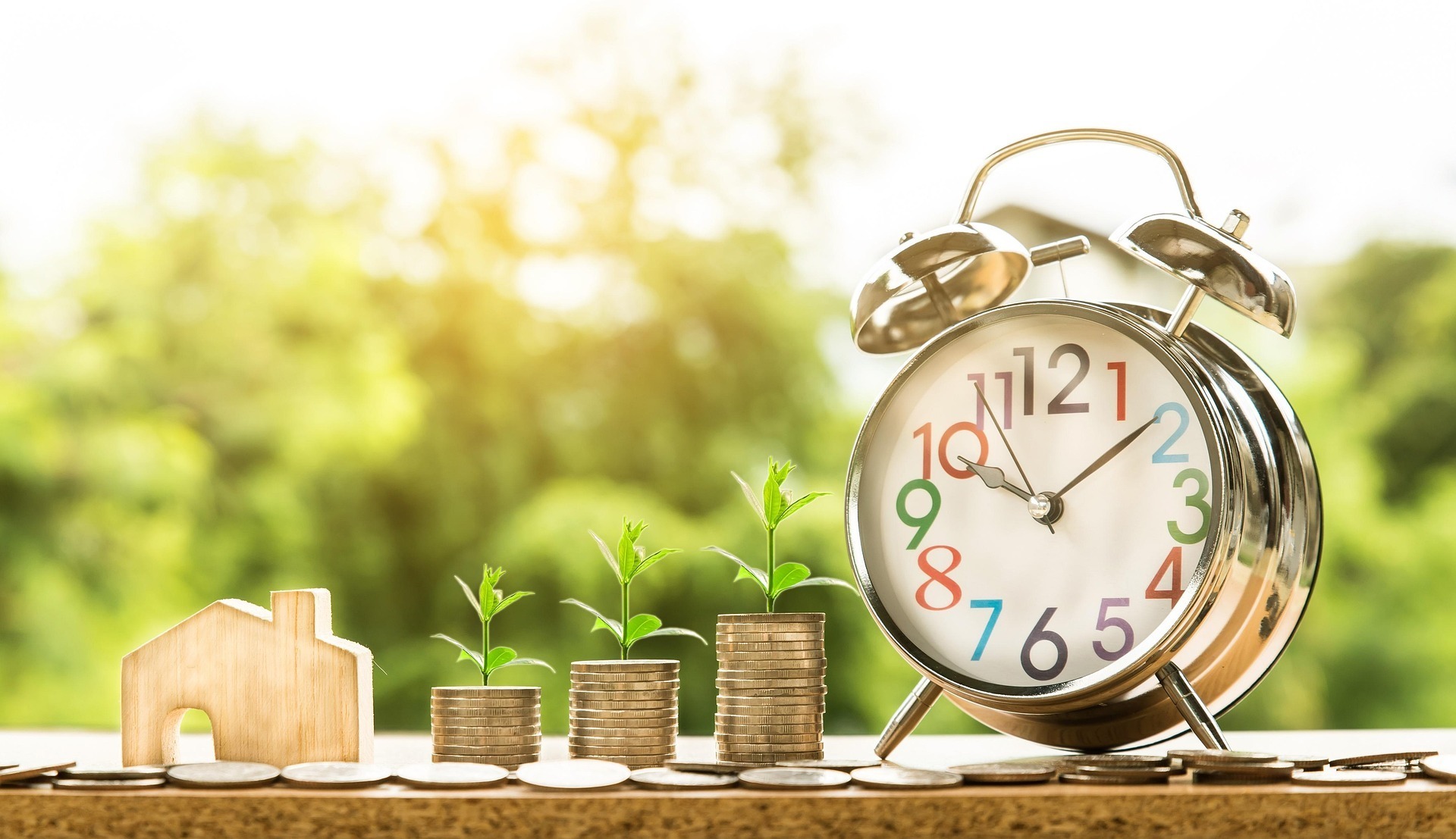 What are the maintenance fees used for?