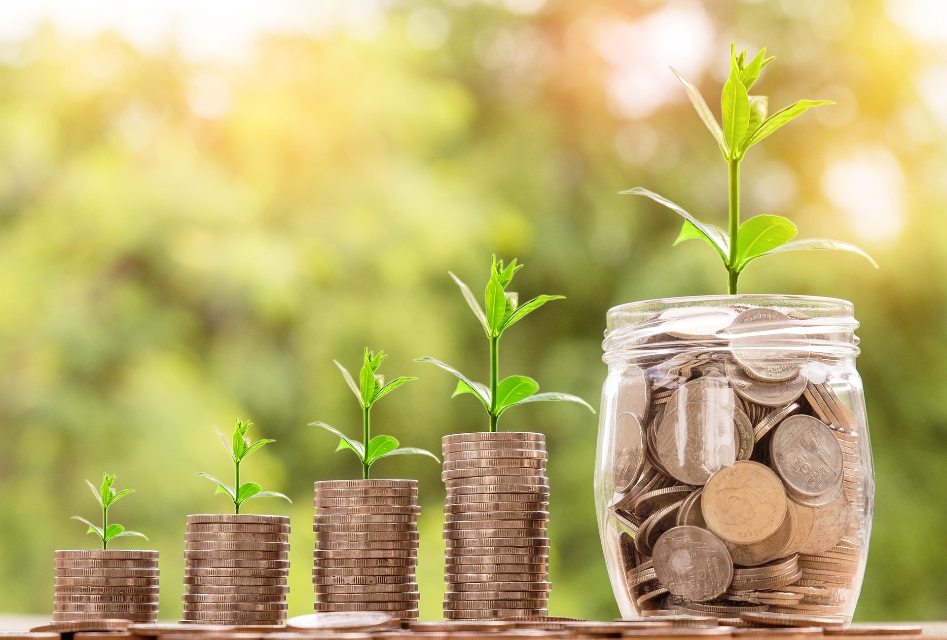 What is a Sinking Fund?